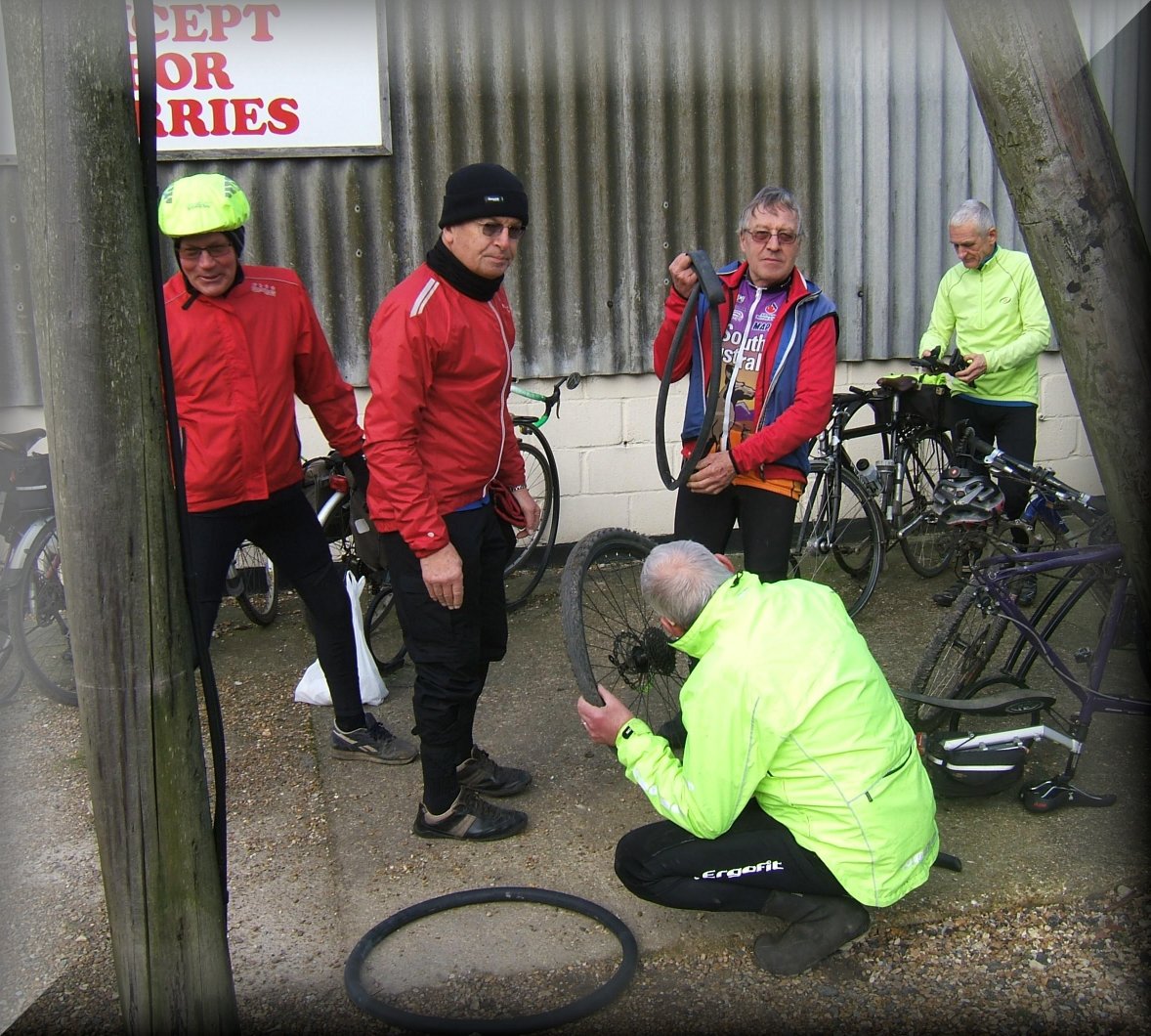 Mobirise Website Builder